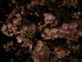 20130331002742