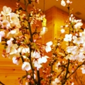 20130331002920