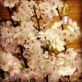 20130404224700