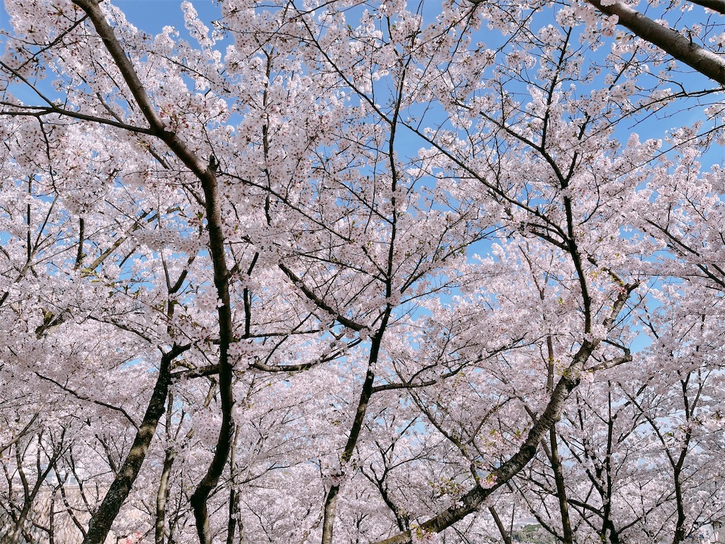 f:id:john_burger:20210402213035j:image