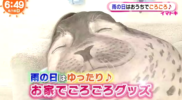 雨の日はゆったり お家でごろごろグッズ めざましテレビ16 06 17 僕たちの時間は限られている