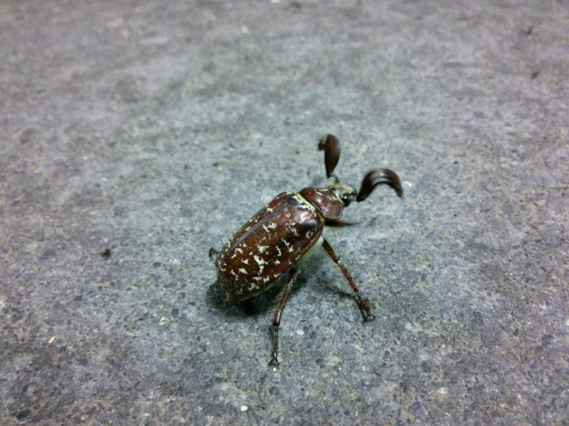 f:id:johnbee:20130927011252j:image f:id:johnbee:20130927011252j:image