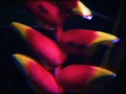 f:id:johnfante:20100519123643j:image