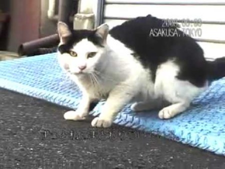 f:id:johnfante:20100624010909j:image