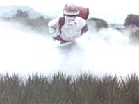 f:id:johnfante:20120906113037j:image:w360