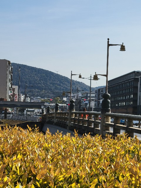 f:id:johnny-coppola:20230212073206j:image f:id:johnny-coppola:20230212073206j:image