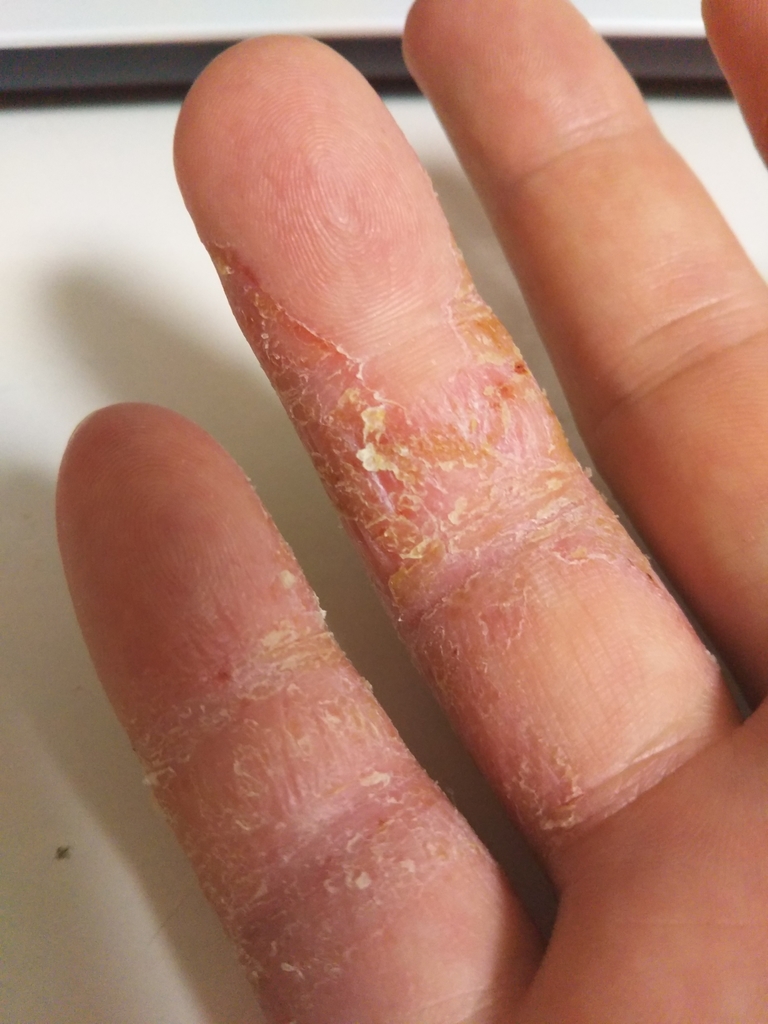 f:id:johnnyBG:20180906113817j:plain f:id:johnnyBG:20180906113817j:plain