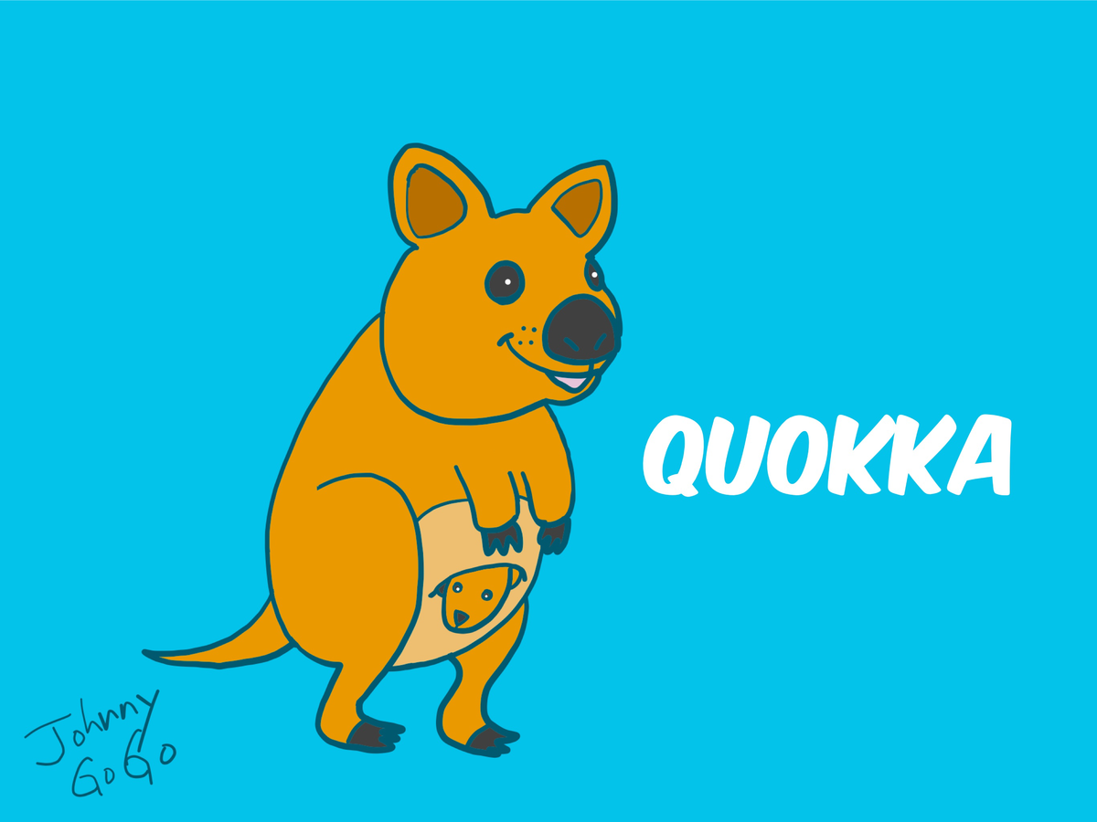 クオッカ ジョニーgogo