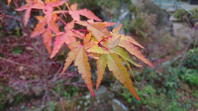 f:id:johnu-man:20181222112031j:image