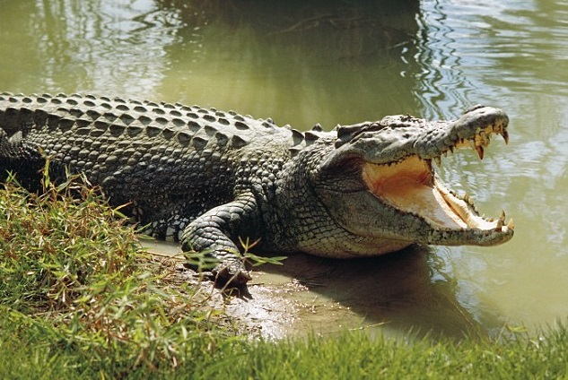 f:id:joinsnow2018:20190731202835j:plain