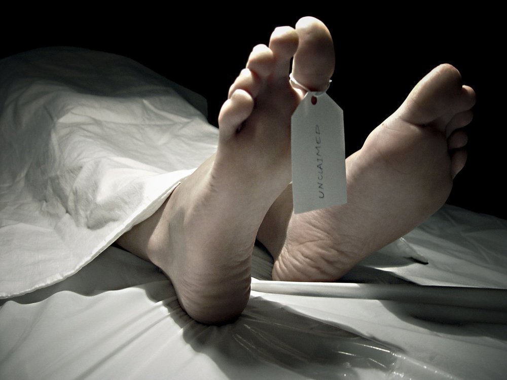 f:id:joinsnow2018:20190809195610j:plain