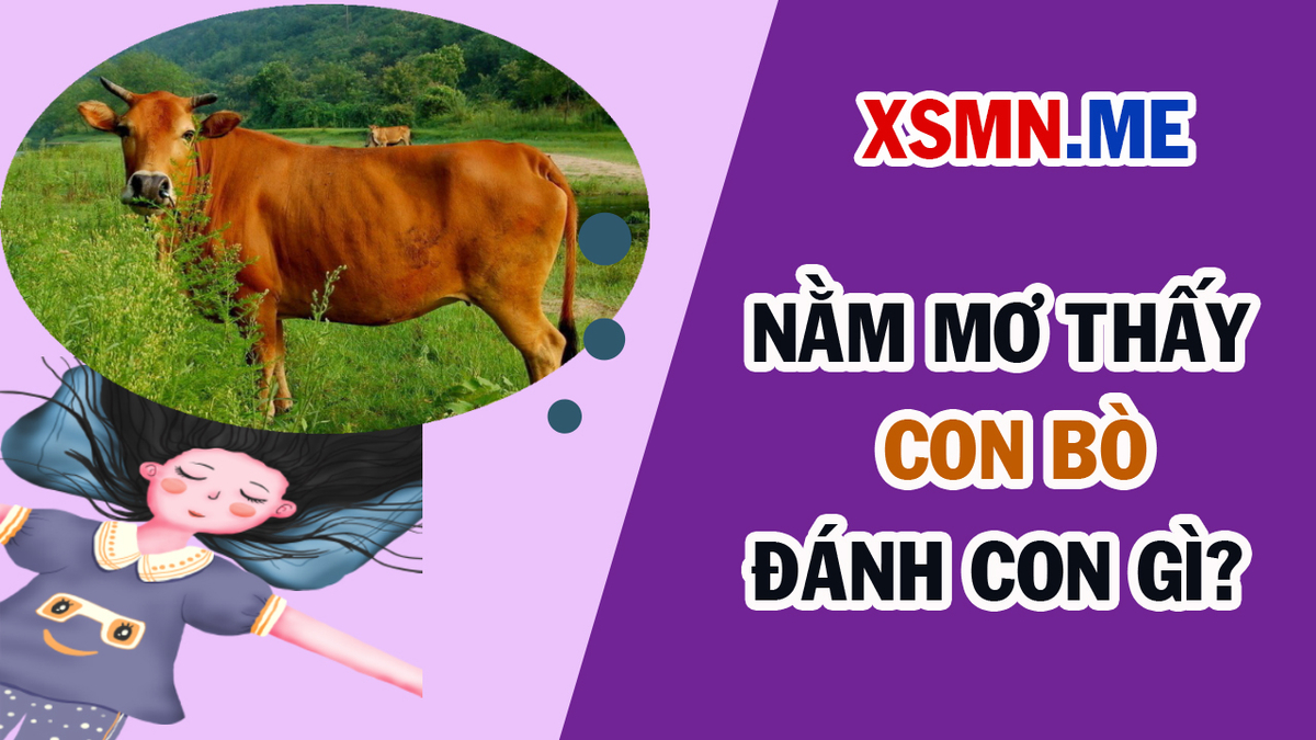 f:id:joinsnow2018:20190822181305j:plain