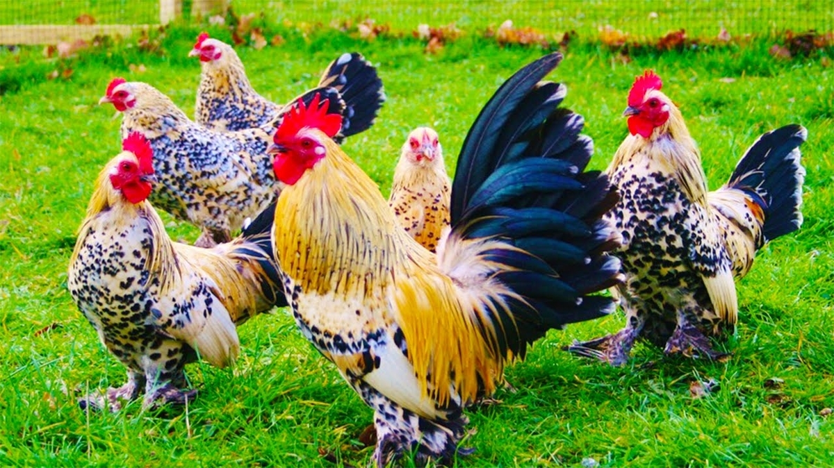 f:id:joinsnow2018:20190823180758j:plain