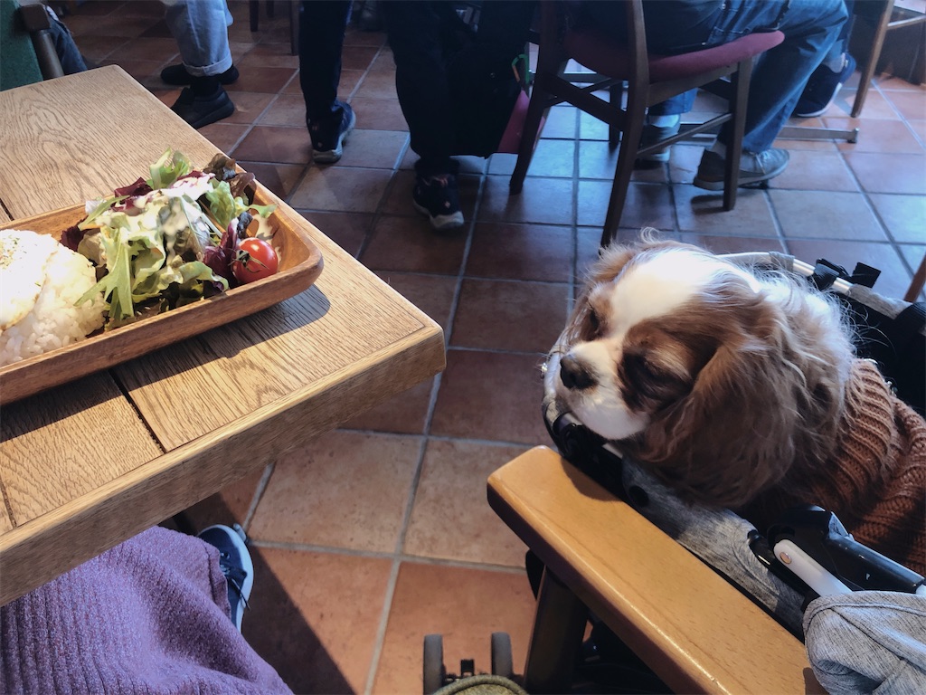 f:id:jojojoychan:20191203134514j:image