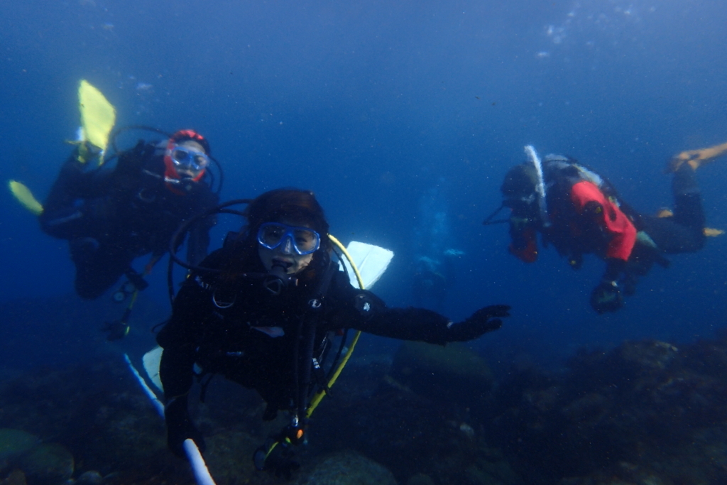 f:id:jojosdivinglog:20180126005520j:plain f:id:jojosdivinglog:20180126005520j:plain