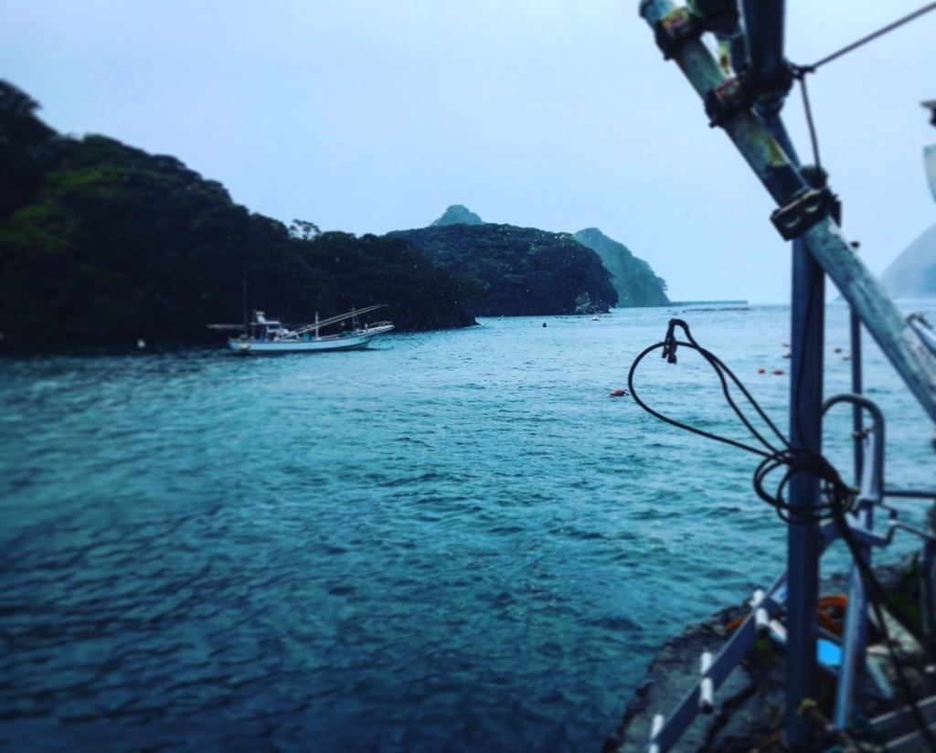 f:id:jojosdivinglog:20181009230649j:plain f:id:jojosdivinglog:20181009230649j:plain