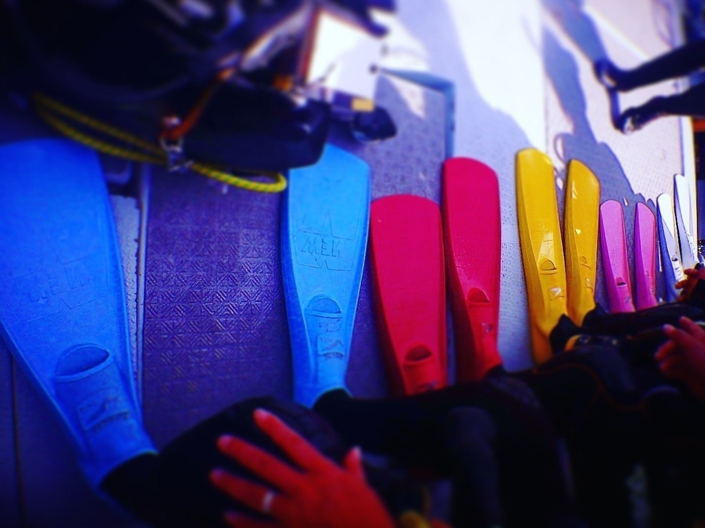 f:id:jojosdivinglog:20181010235609j:plain f:id:jojosdivinglog:20181010235609j:plain