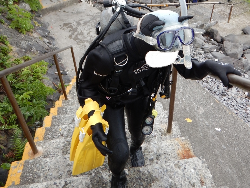 f:id:jojosdivinglog:20181011002709j:plain f:id:jojosdivinglog:20181011002709j:plain