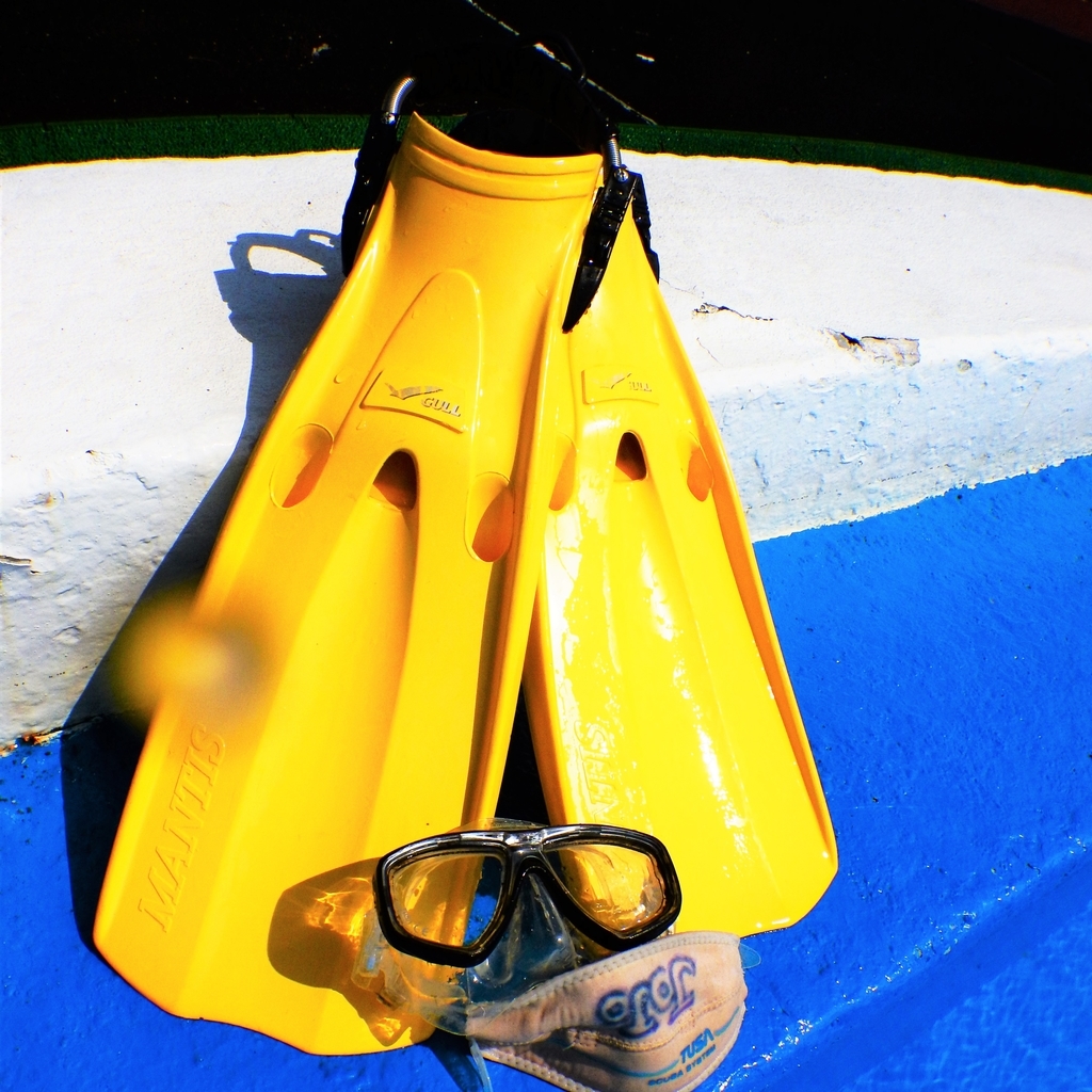 f:id:jojosdivinglog:20181011003103j:plain f:id:jojosdivinglog:20181011003103j:plain