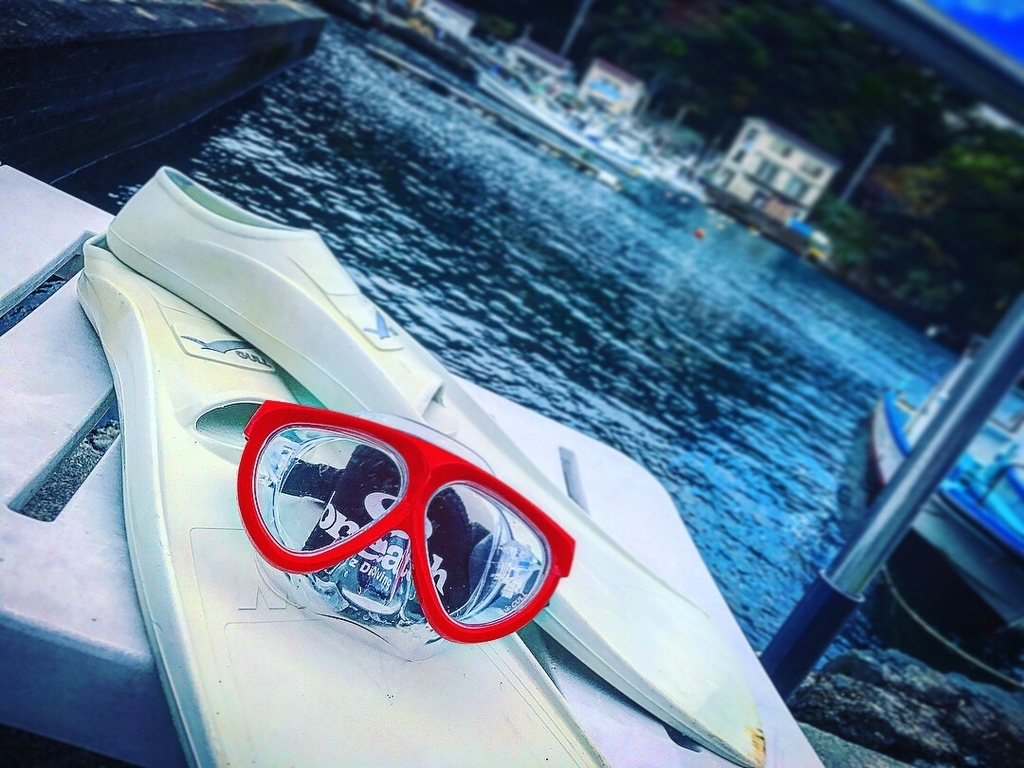 f:id:jojosdivinglog:20181011003247j:plain f:id:jojosdivinglog:20181011003247j:plain