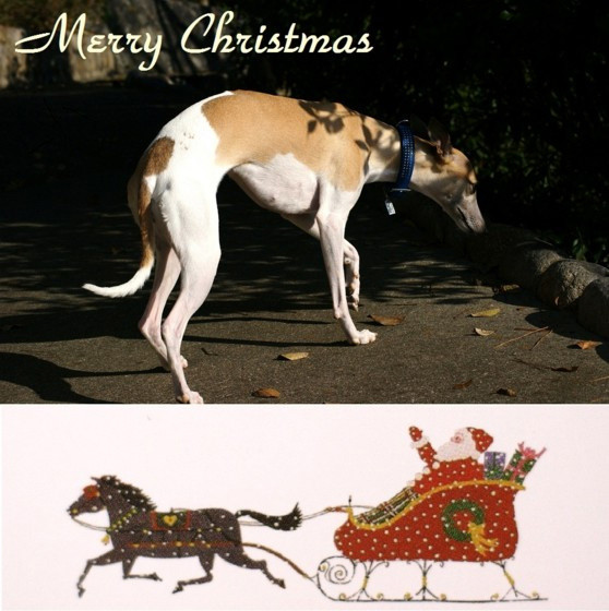 f:id:joju8:20101225134544j:image:w500