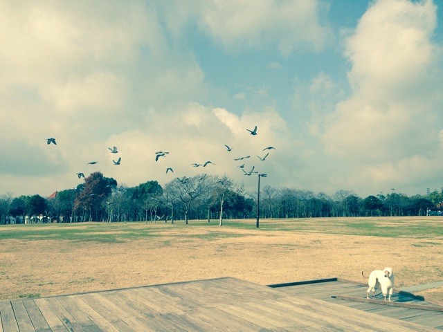 f:id:joju8:20141229214752j:plain f:id:joju8:20141229214752j:plain