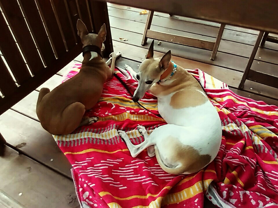 f:id:joju8:20161023151220j:image