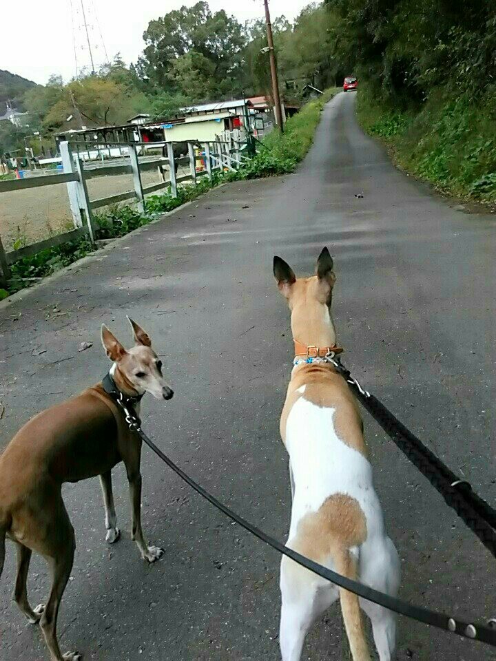 f:id:joju8:20161023151330j:image