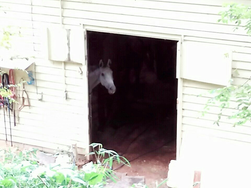 f:id:joju8:20161023151505j:image