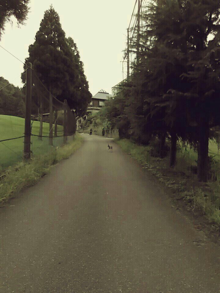 f:id:joju8:20161023151626j:image