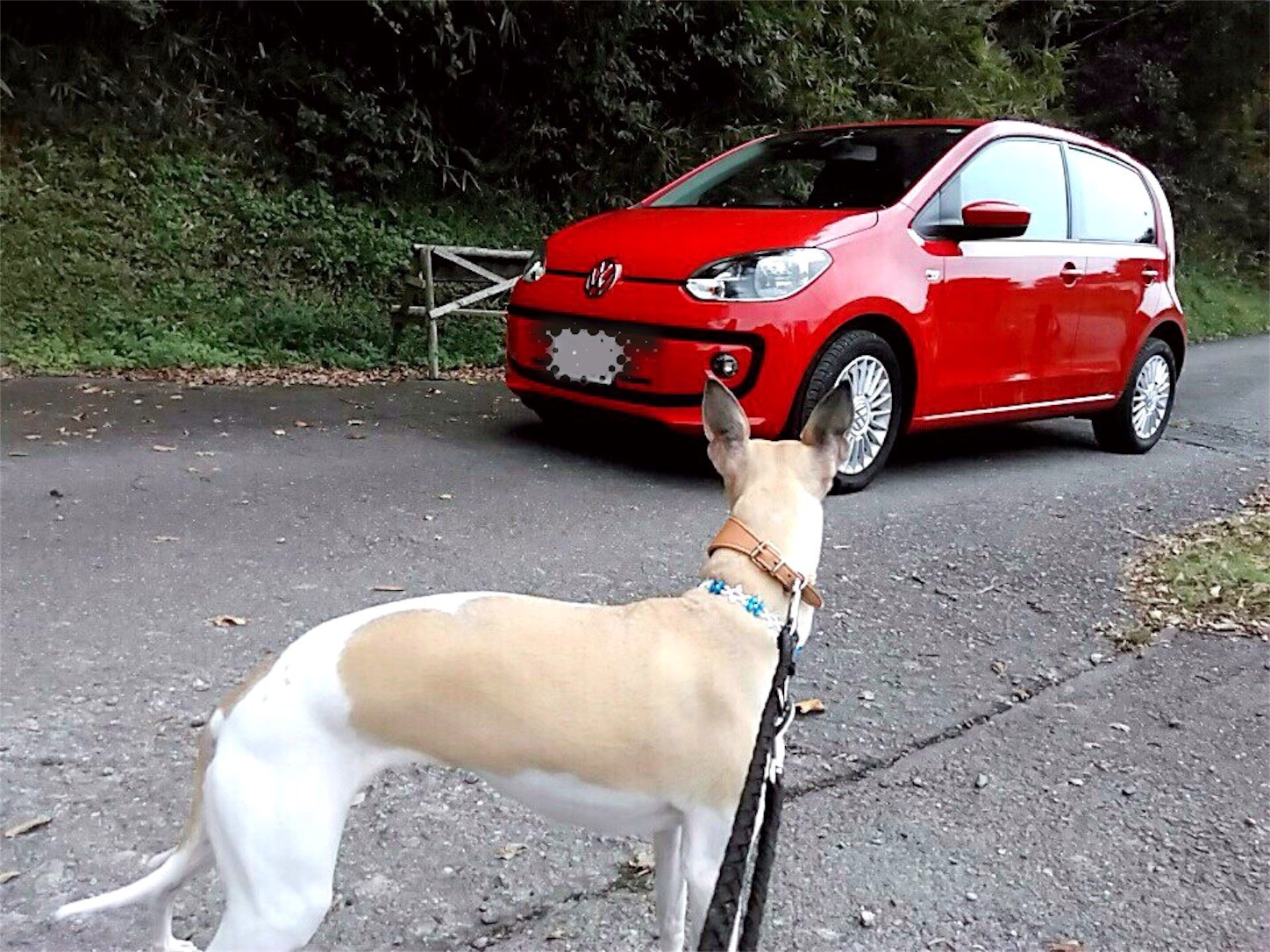 f:id:joju8:20161023154518j:image