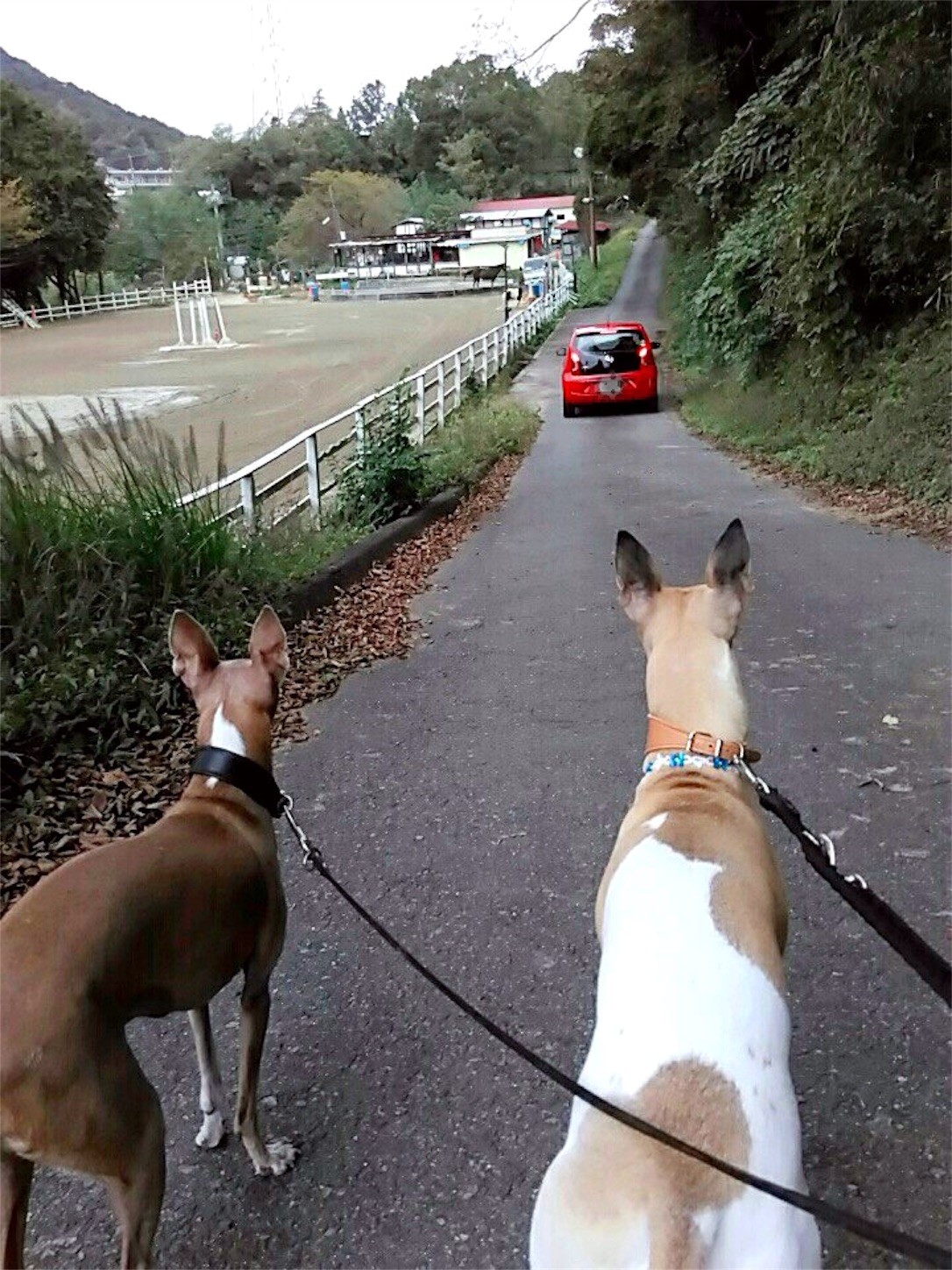 f:id:joju8:20161023154540j:image