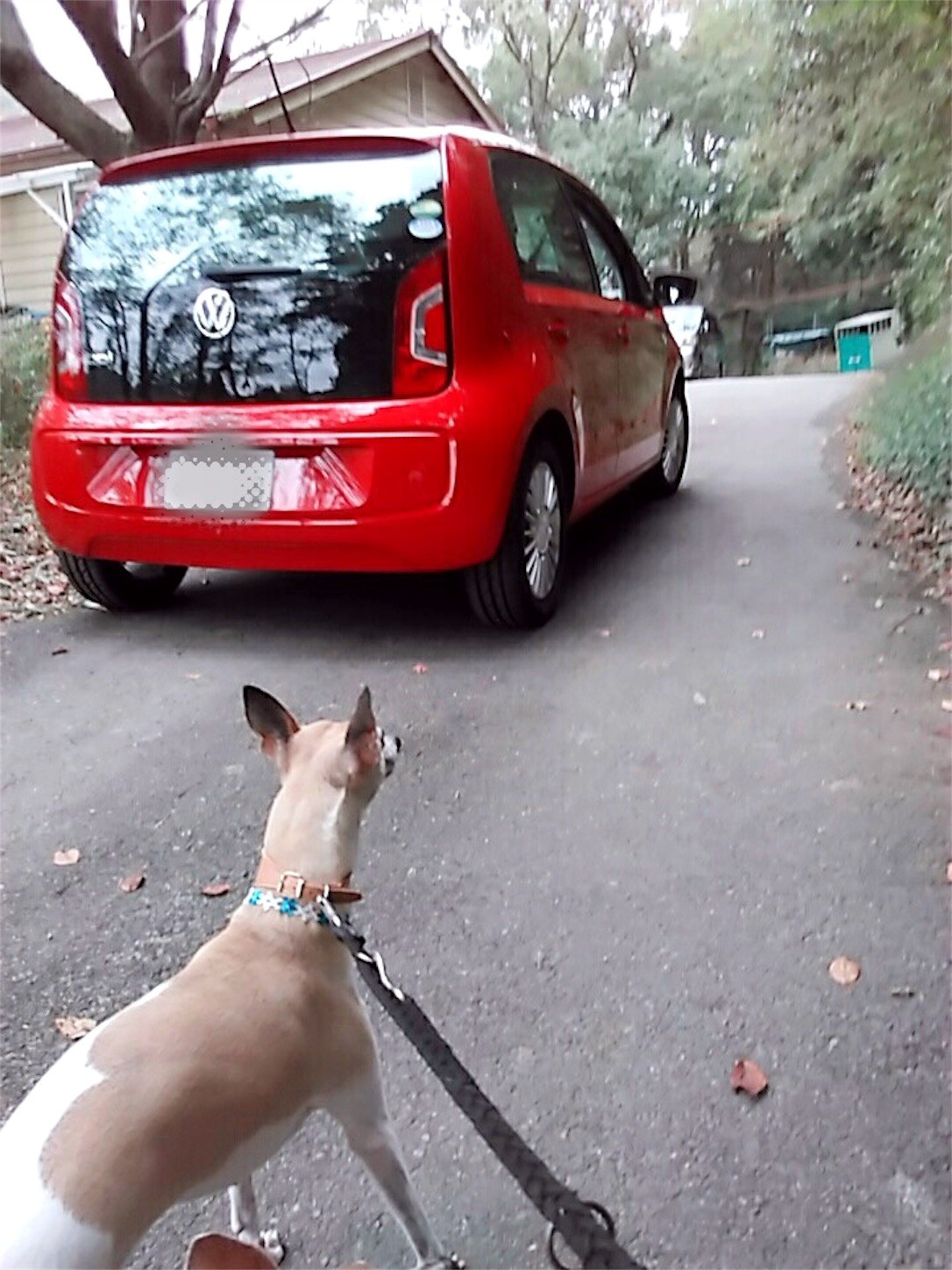 f:id:joju8:20161023154615j:image