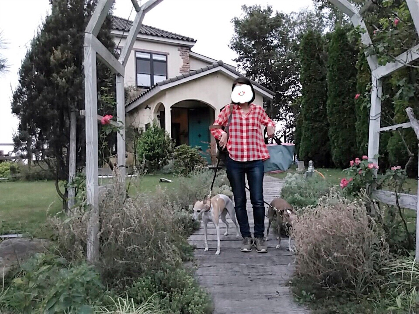 f:id:joju8:20161023162051j:plain