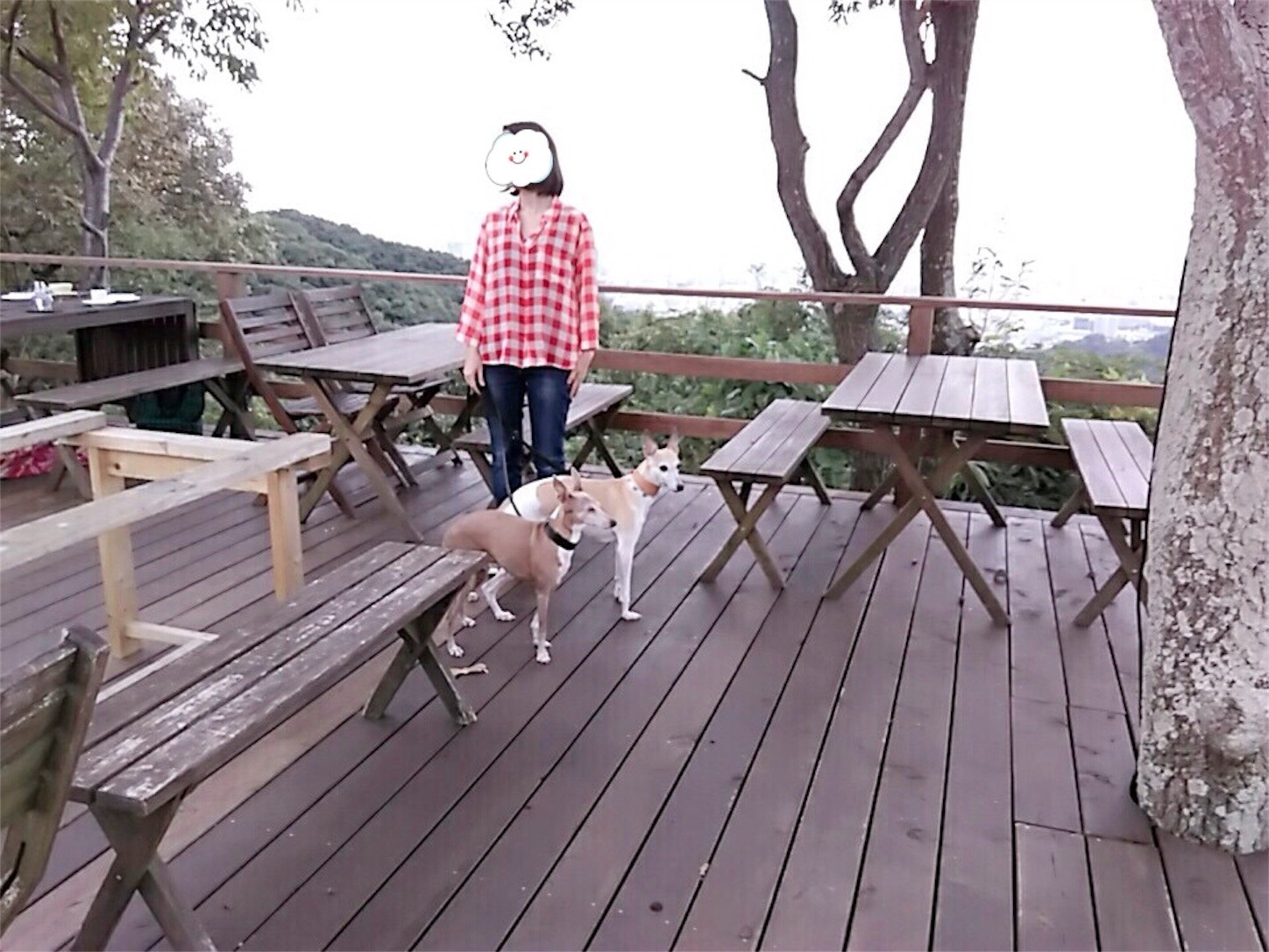 f:id:joju8:20161023162100j:plain