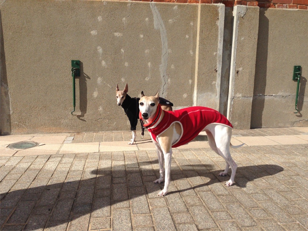 f:id:joju8:20161112155345j:image