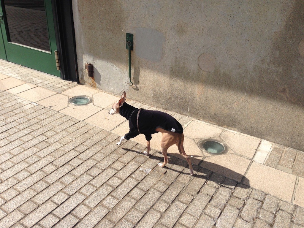 f:id:joju8:20161112155403j:image