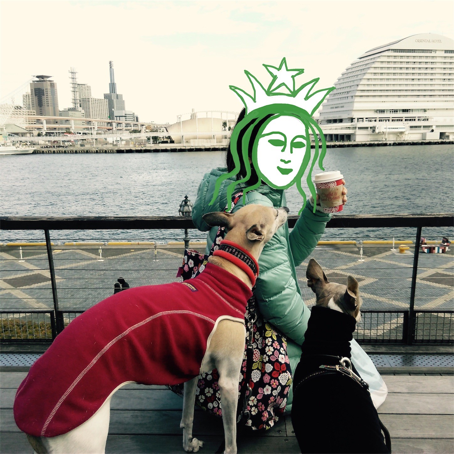 f:id:joju8:20161112212320j:image