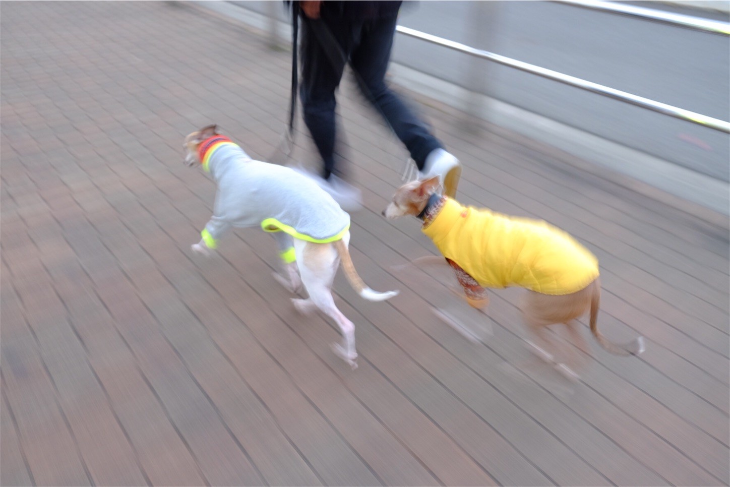 f:id:joju8:20161207223023j:image