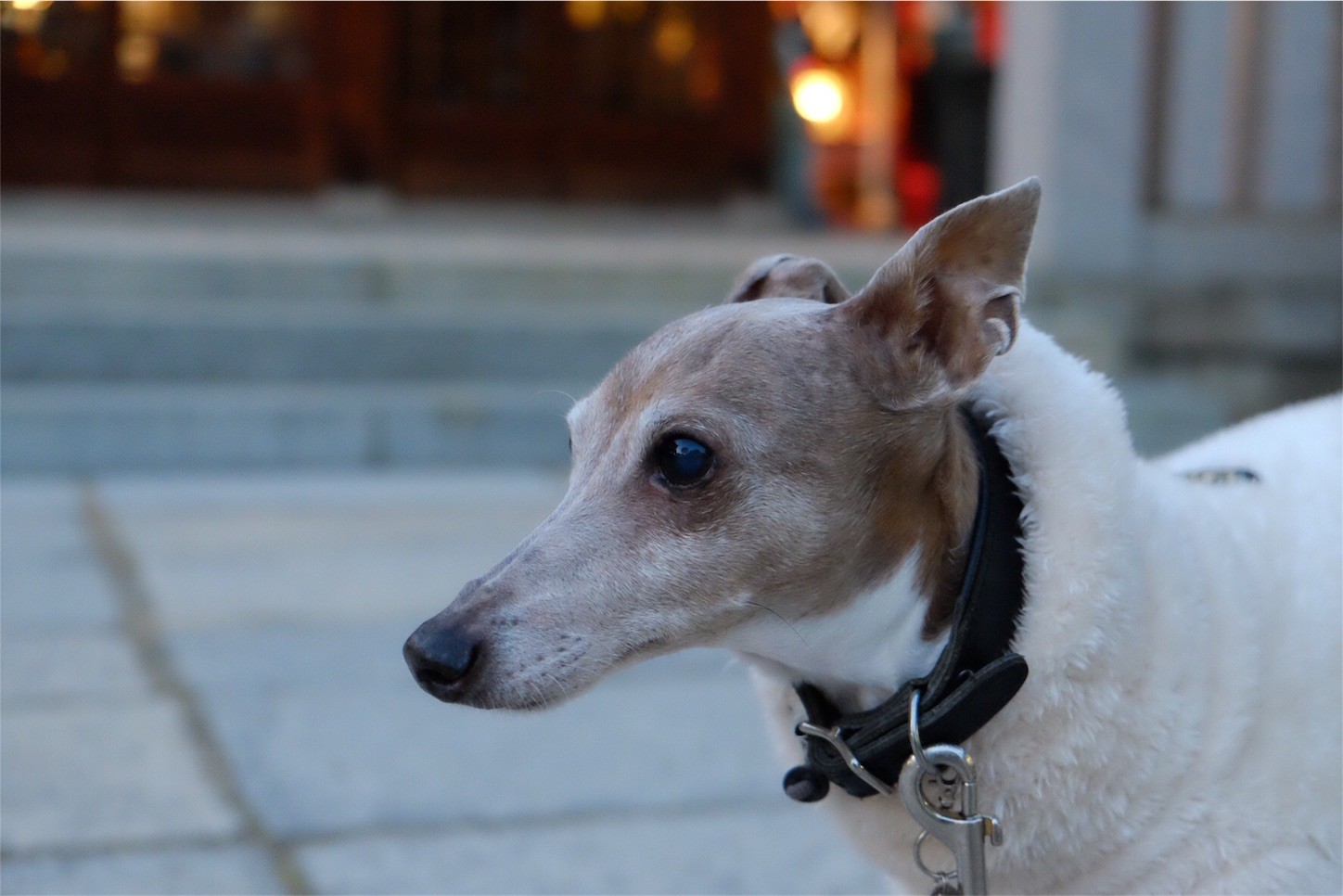 f:id:joju8:20161222130409j:image