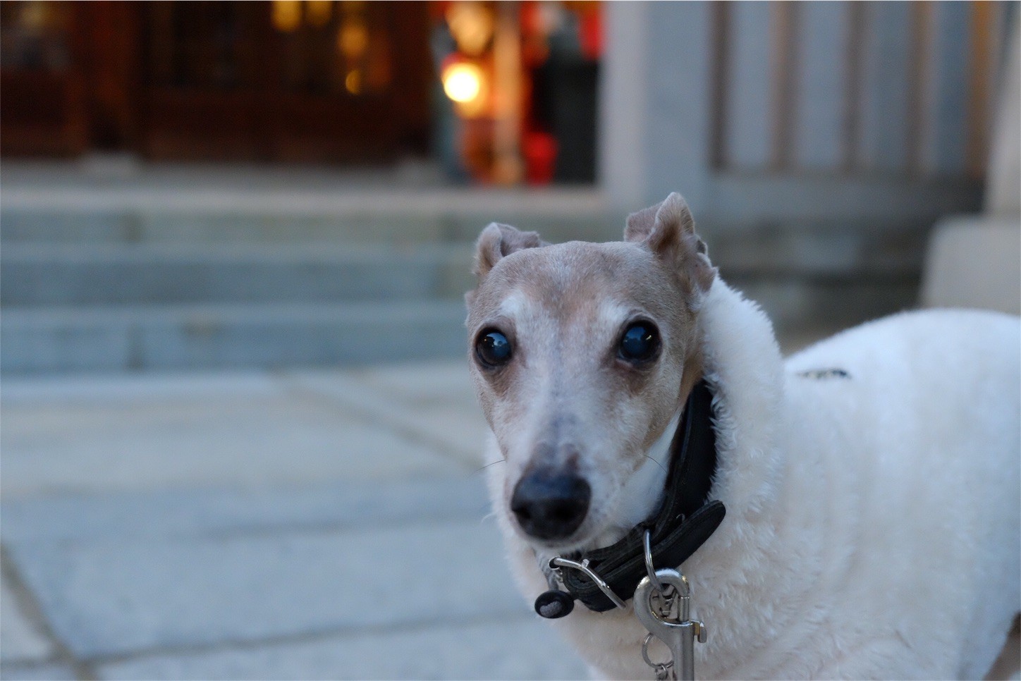 f:id:joju8:20161222130431j:image