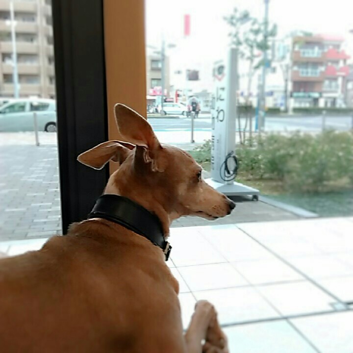 f:id:joju8:20161222132641j:image