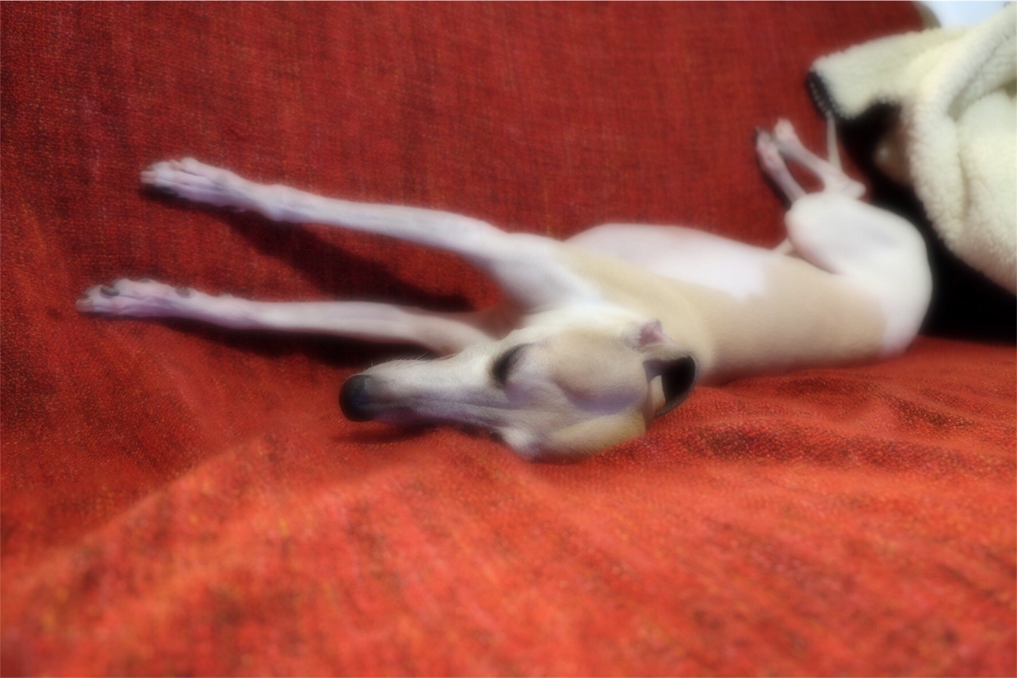 f:id:joju8:20161222133841j:image