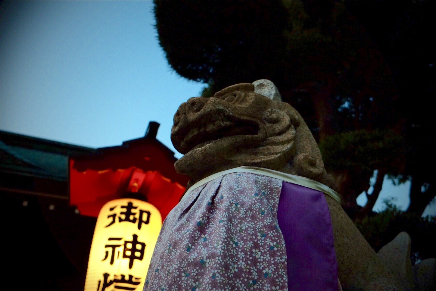 f:id:joju8:20161222153906j:image