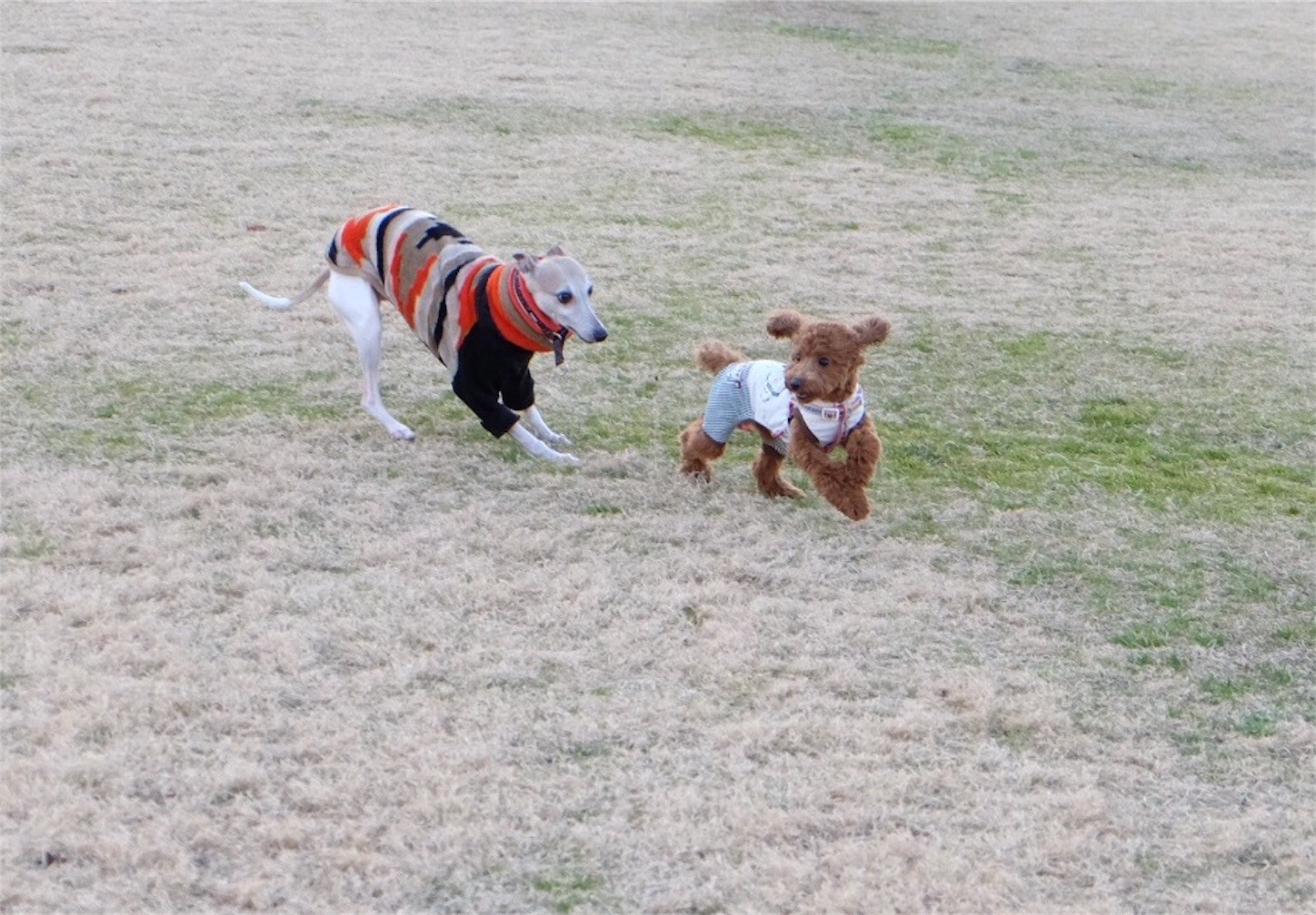 f:id:joju8:20170112141108j:image f:id:joju8:20170112141108j:image