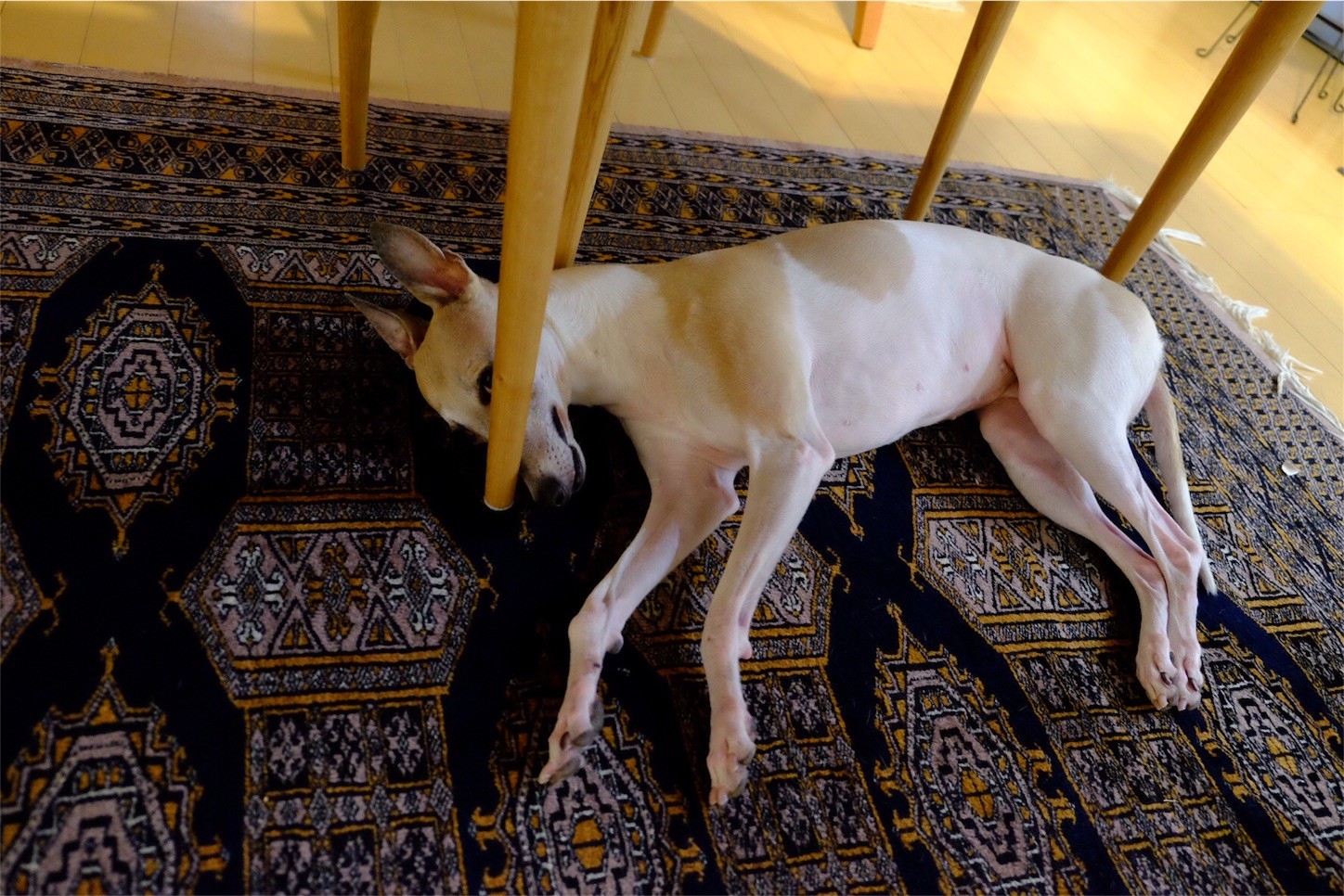 f:id:joju8:20170328214244j:image