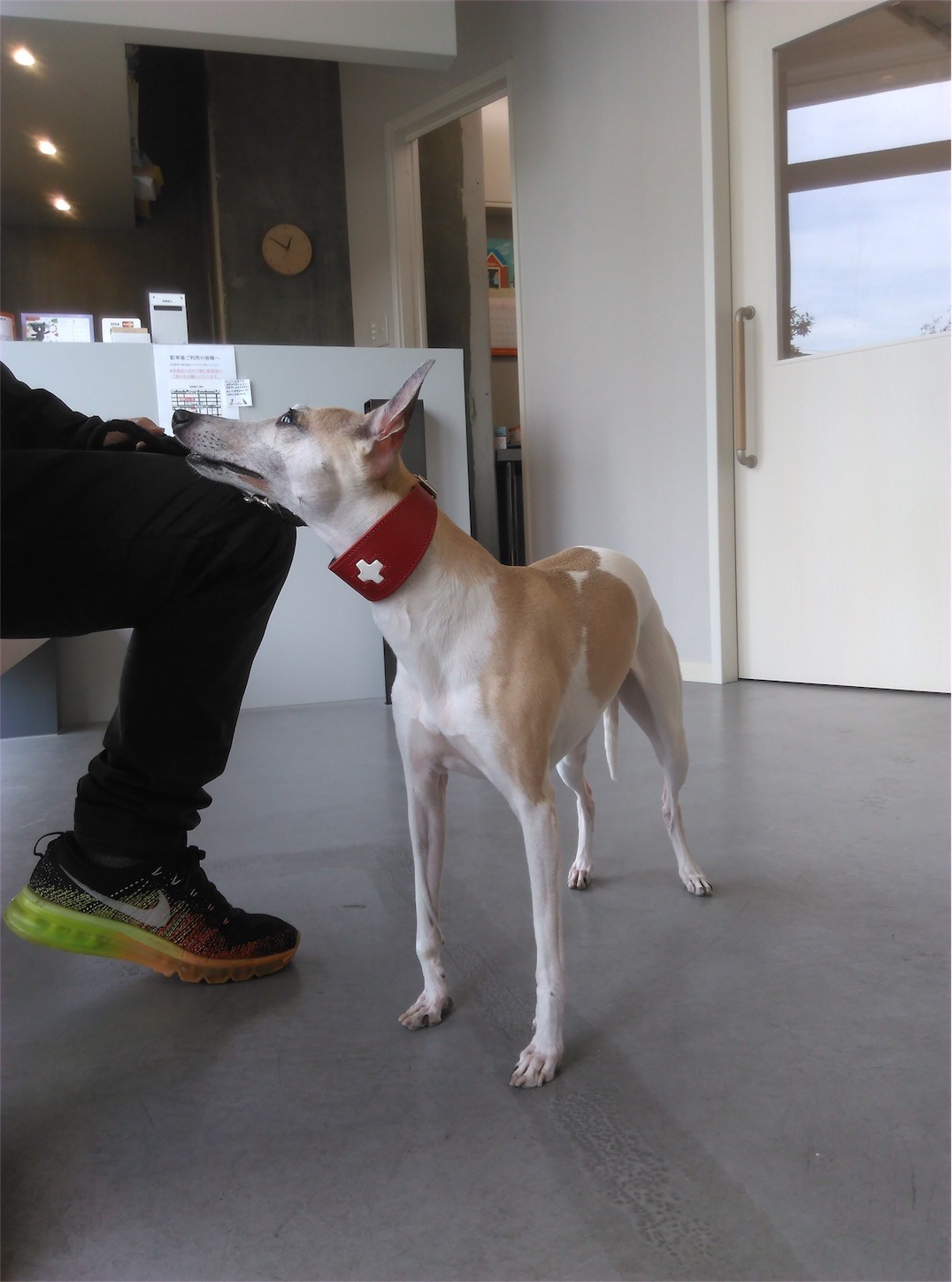 f:id:joju8:20170328215039j:image