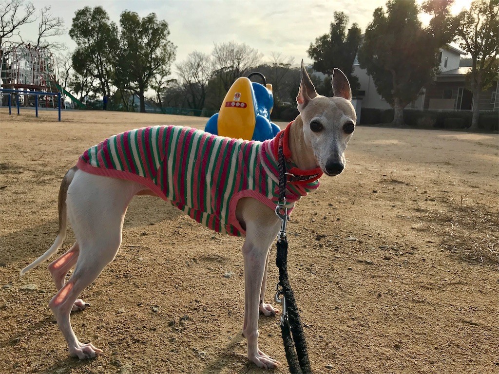 f:id:joju8:20180314225113j:image