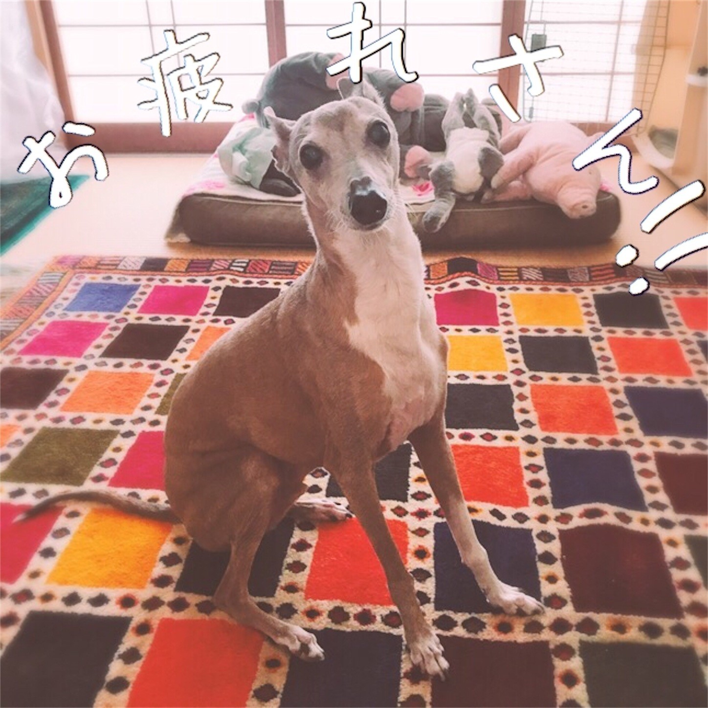 f:id:joju8:20180606134928j:image f:id:joju8:20180606134928j:image
