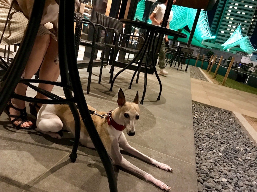 f:id:joju8:20180904154351j:image